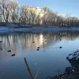 Meet your Posher, Caleb